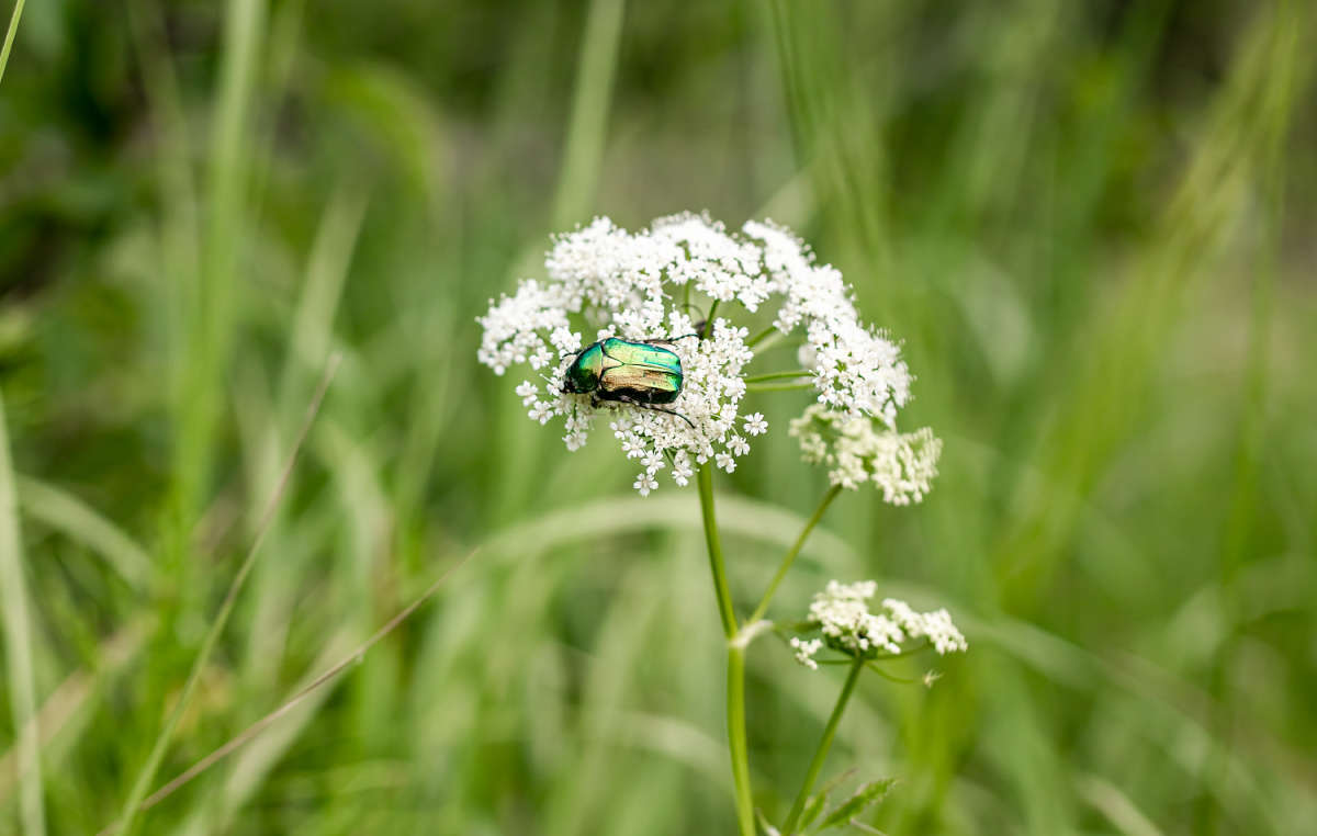 �������� ��� ����� ���������  �� PhotoGeek.ru #����� #������ ��� �������