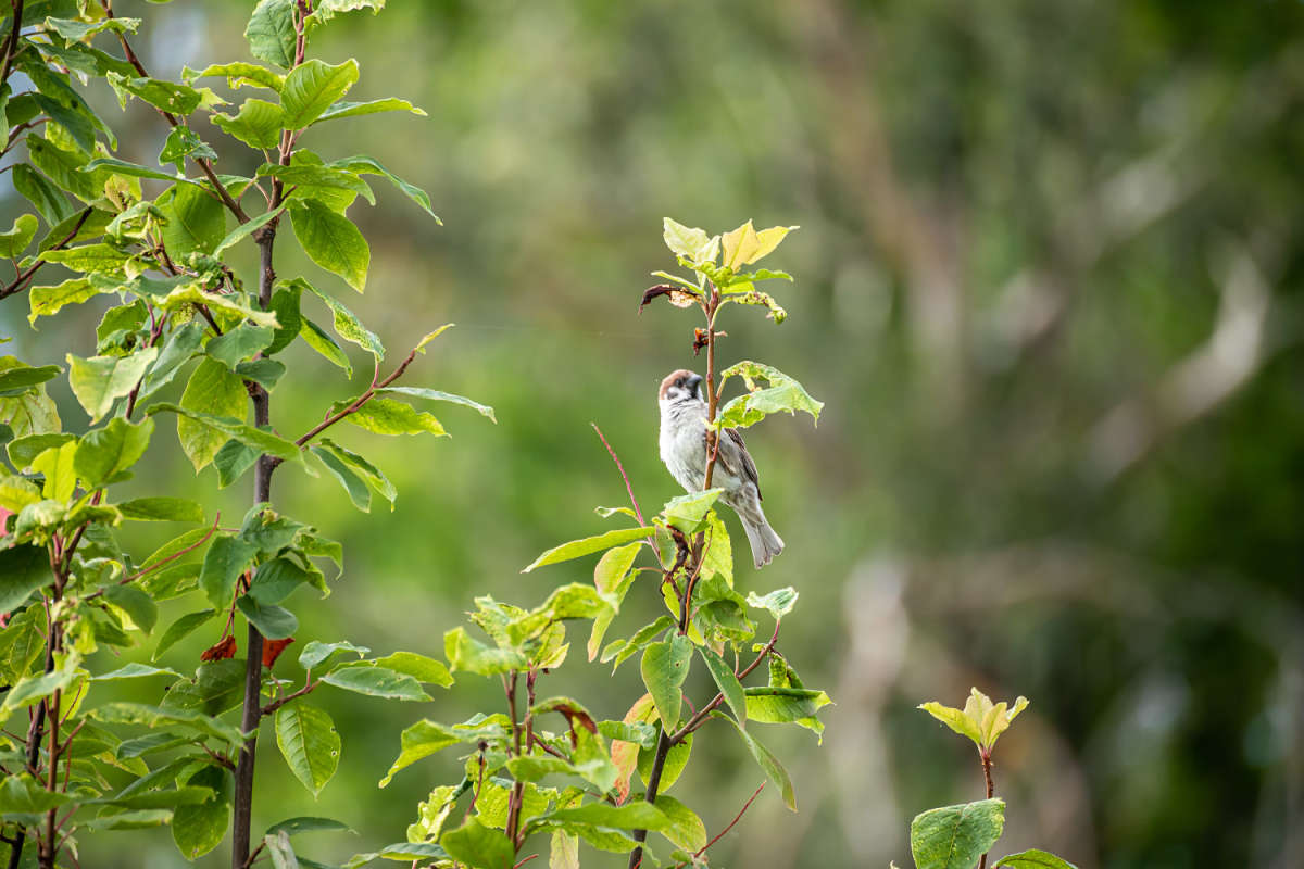 ������� ����� ���������  �� PhotoGeek.ru #�������� ��� #������ ��� �������