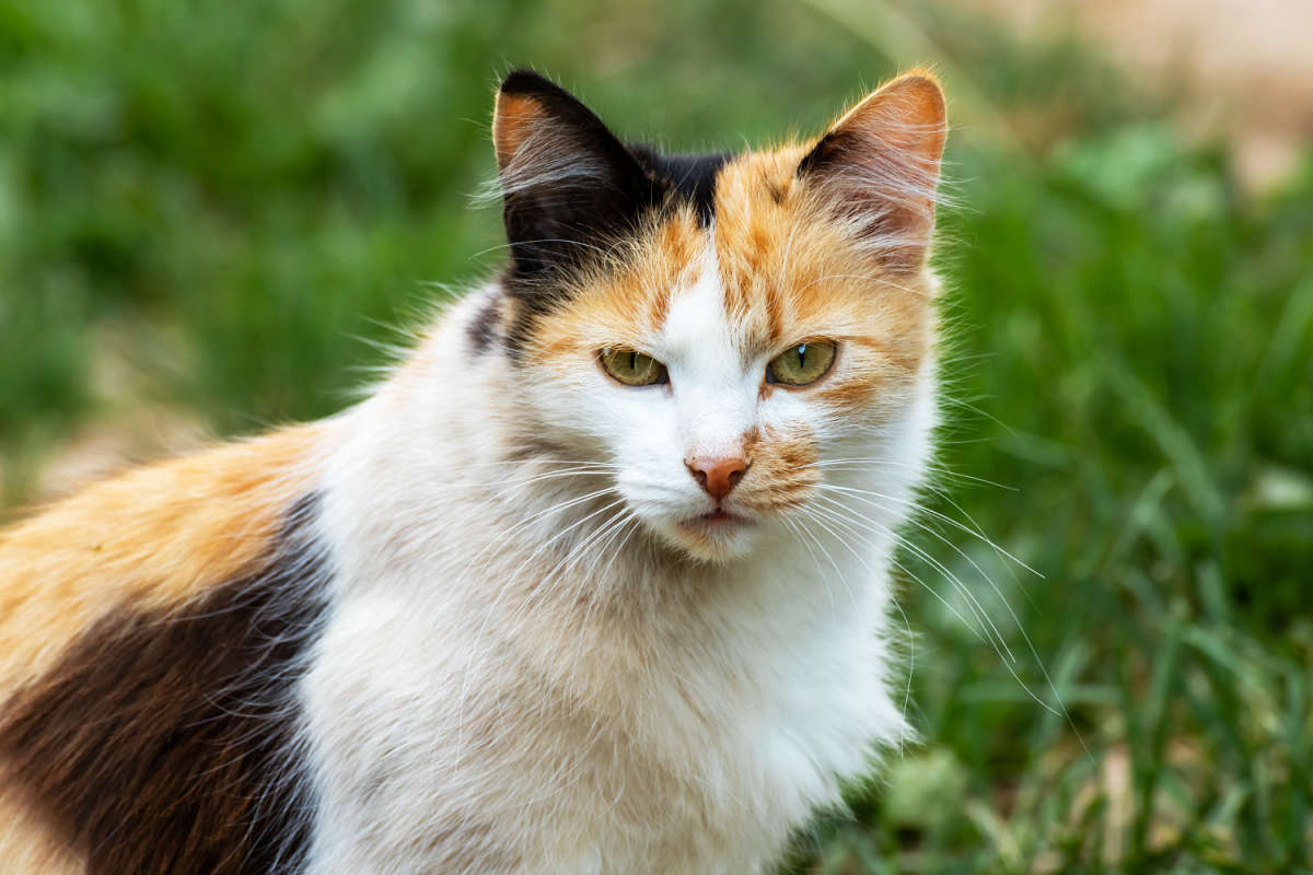 ����� ����� ���������  �� PhotoGeek.ru #�������� ���