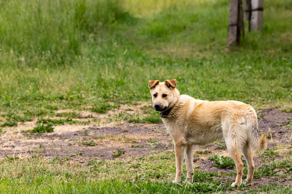 ������� ����� ���������  �� PhotoGeek.ru #�������� ���