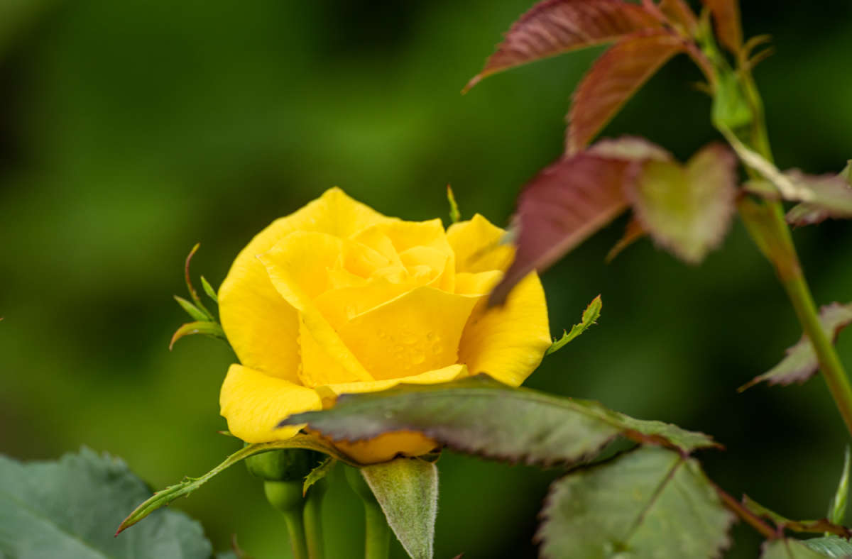 ���� ����� ���������  �� PhotoGeek.ru #������ ��� �������