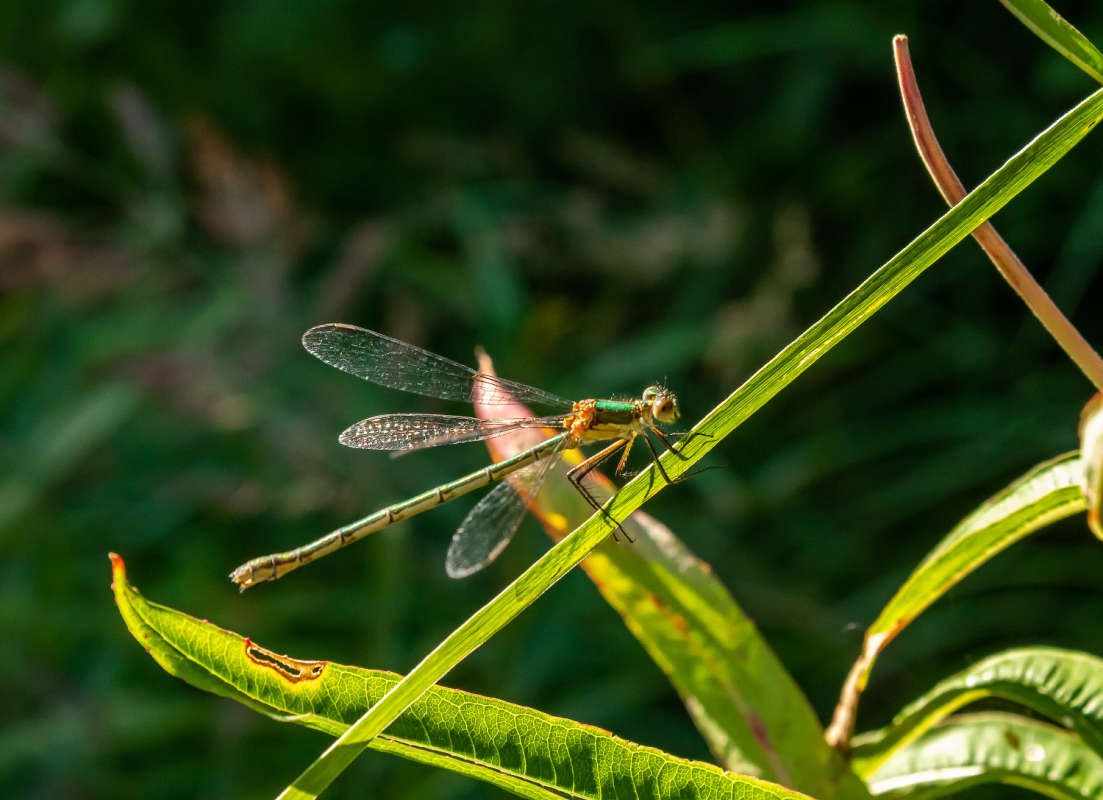 �� �������� ����� ���������  �� PhotoGeek.ru #�����