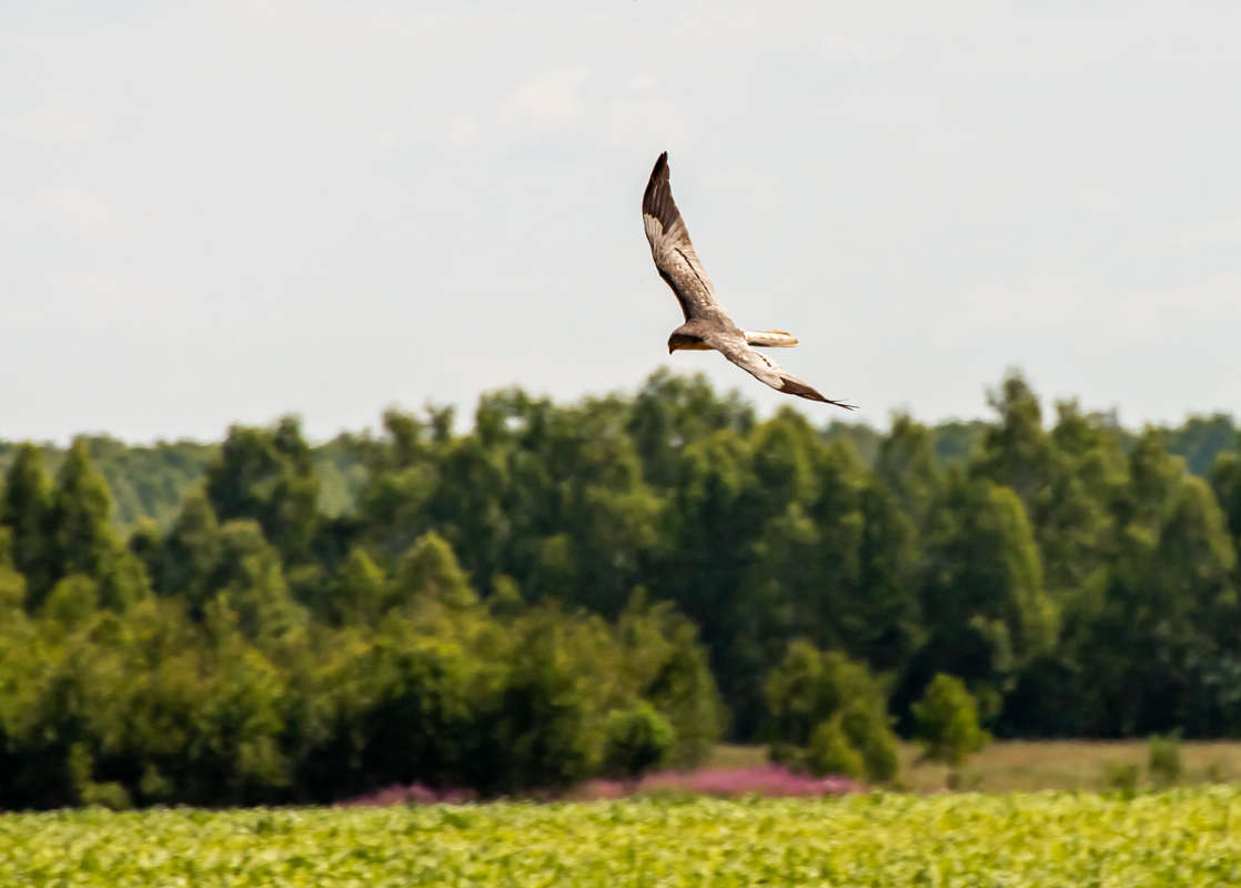 �� ������� ����� ���������  �� PhotoGeek.ru #�������� ��� #������ ��� �������