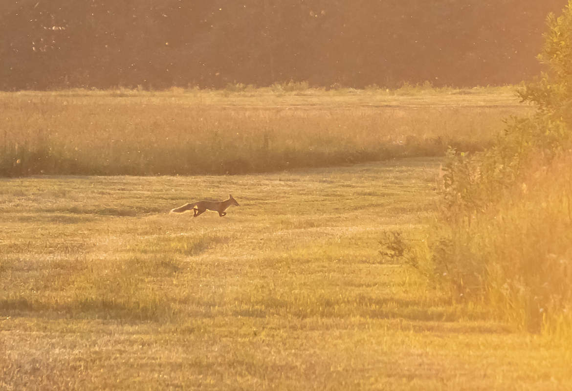 ���� ����� ���������  �� PhotoGeek.ru #�������� ��� #������ ��� �������