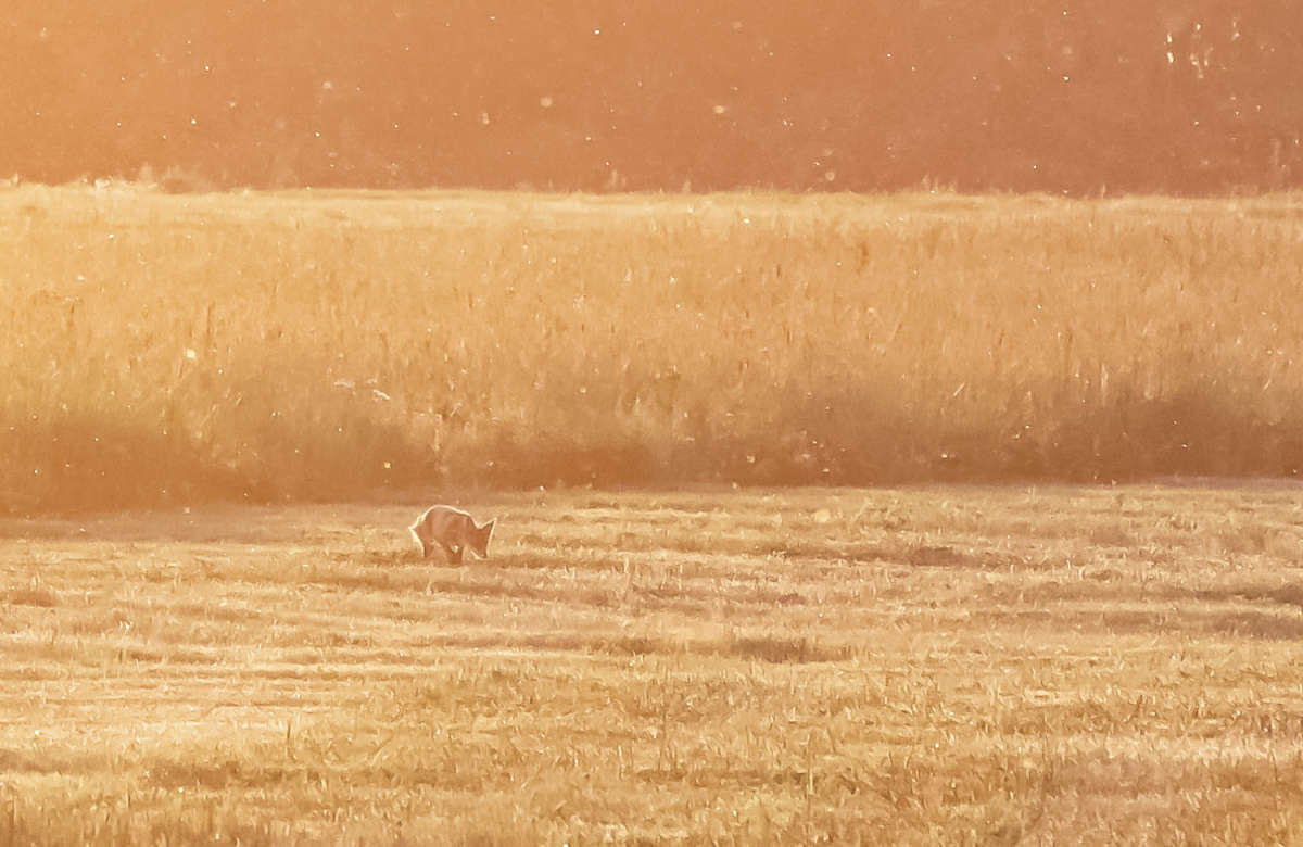 �� ������ ����� ���������  �� PhotoGeek.ru #�������� ��� #������ ��� �������