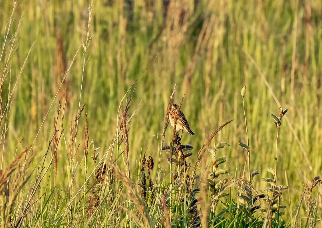 � ����� ����� ���������  �� PhotoGeek.ru #�������� ��� #������ ��� �������