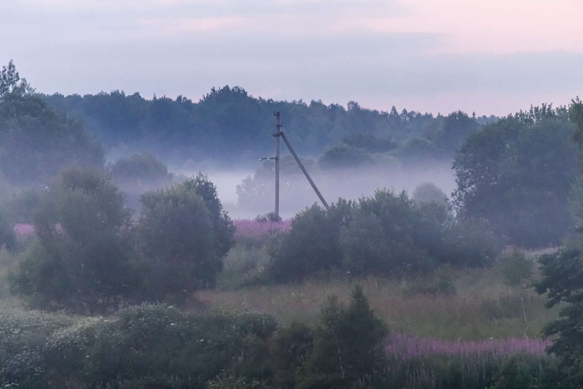 Дело к ночи / Дело к ночи / Фотография на PhotoGeek.ru