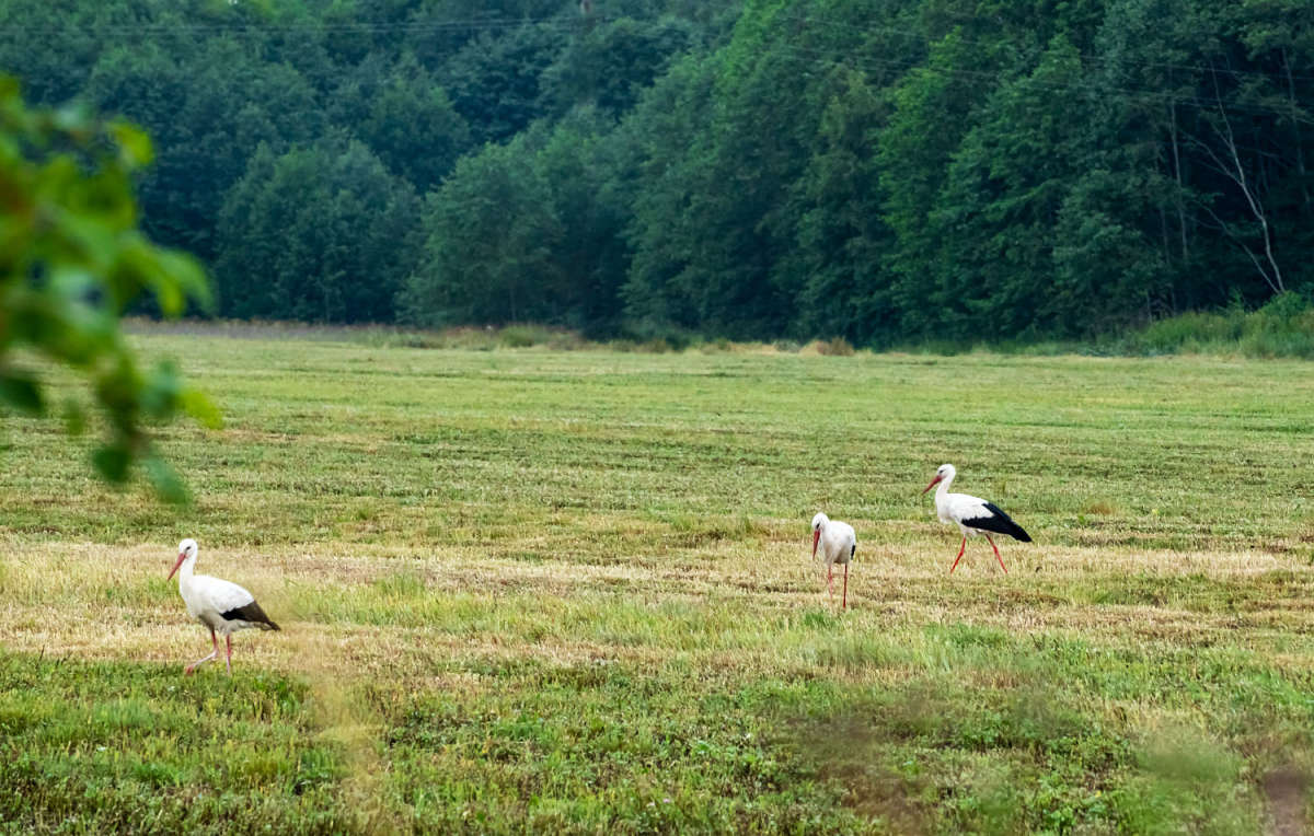 ����� � ���� ����� ���������  �� PhotoGeek.ru #�������� ��� #������ ��� �������