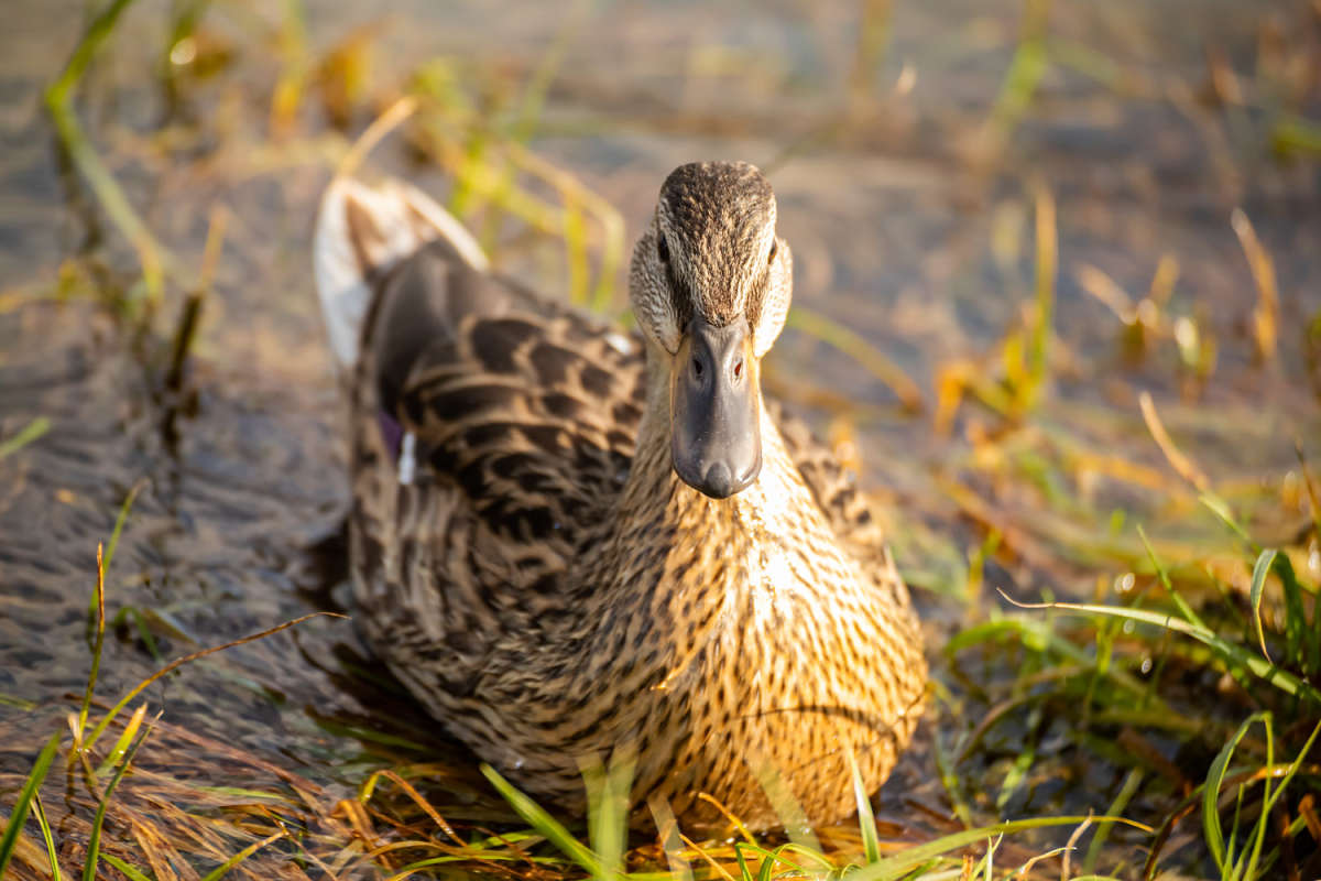 ��������� �������� ������ ����� ���������  �� PhotoGeek.ru #�������� ��� #��������