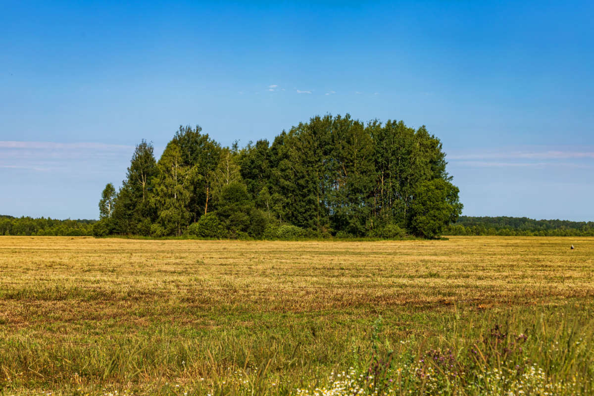 ������ ����� ���������  �� PhotoGeek.ru #������ ��� �������