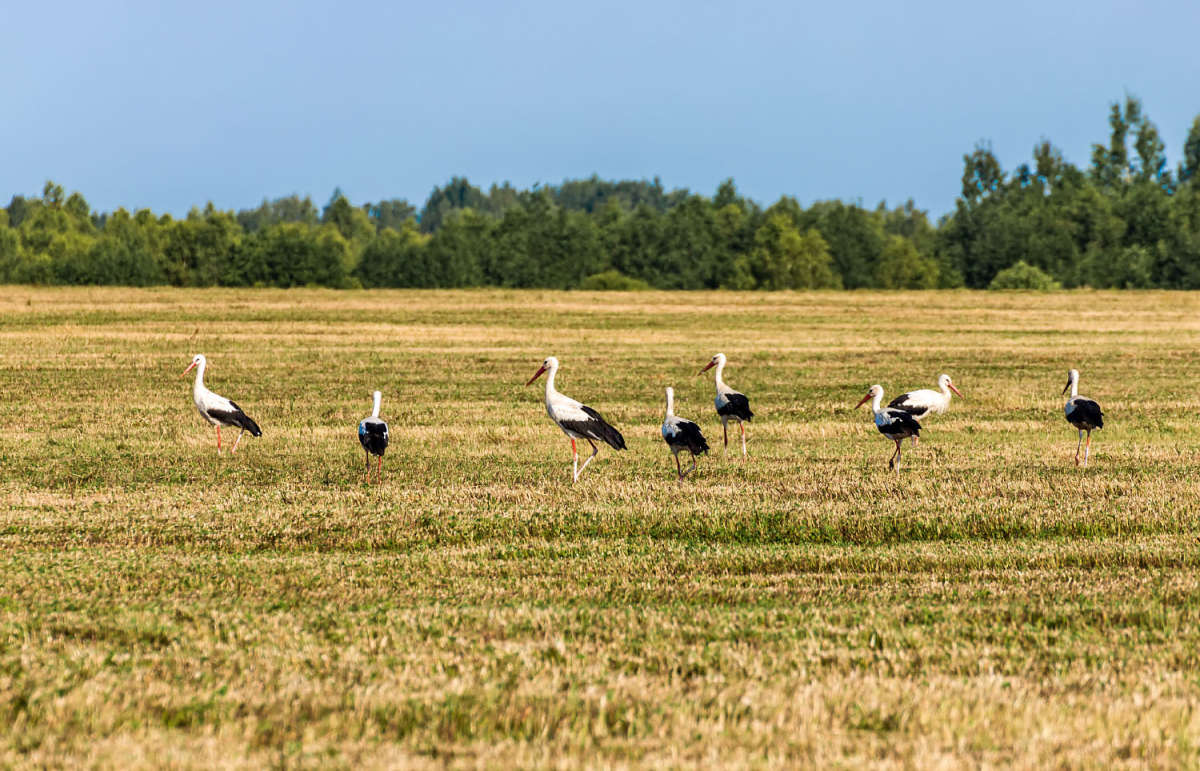 ����� ����� ���������  �� PhotoGeek.ru #�������� ��� #������ ��� �������