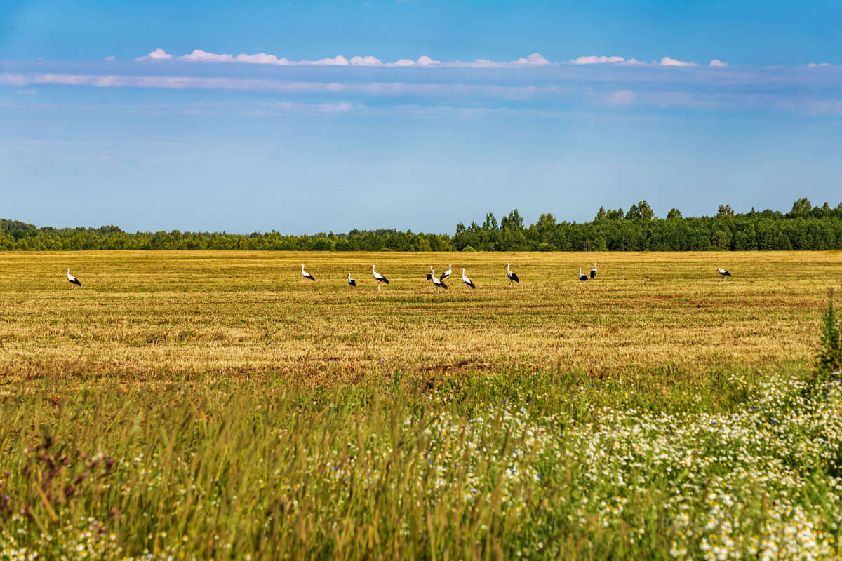 � ���� ����� ���������  �� PhotoGeek.ru #�������� ��� #������ ��� �������