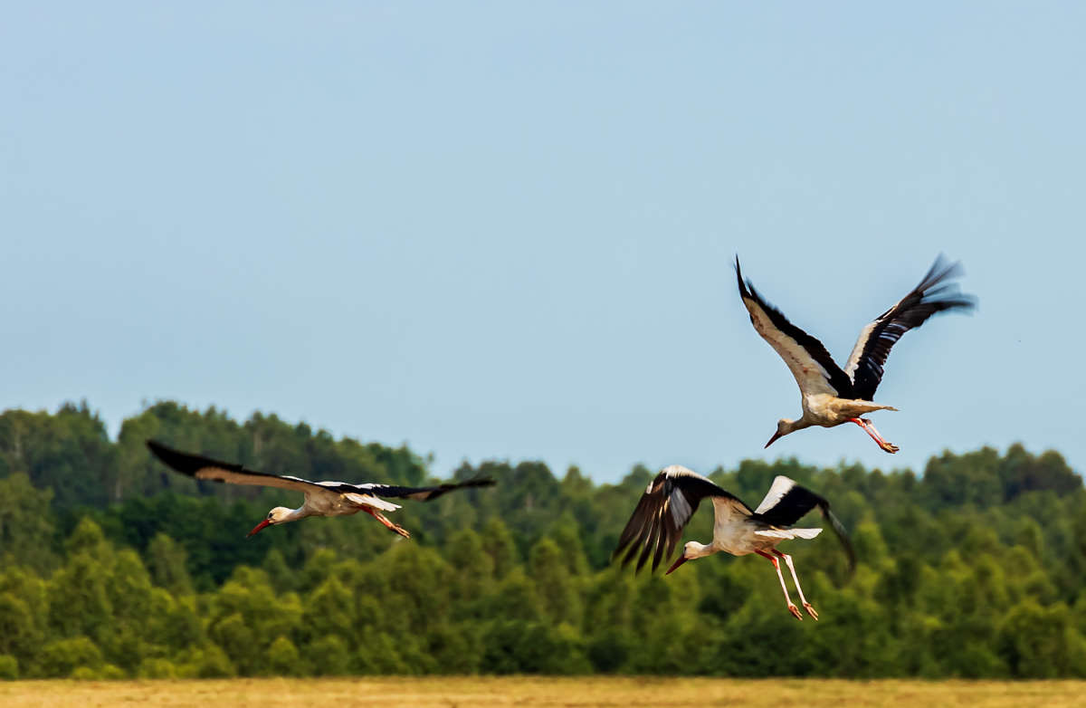 ���� ����� ���������  �� PhotoGeek.ru #�������� ���