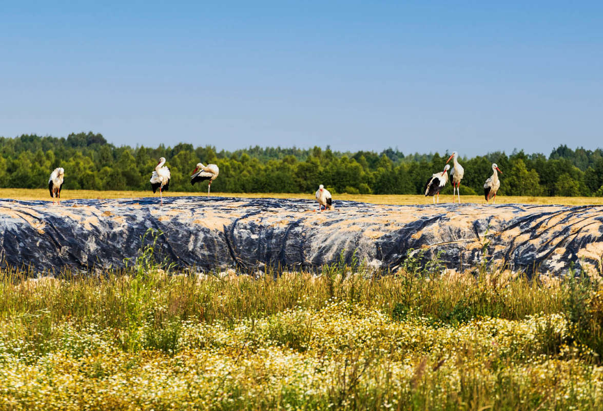 ����� ����� ���������  �� PhotoGeek.ru #�������� ��� #������ ��� �������