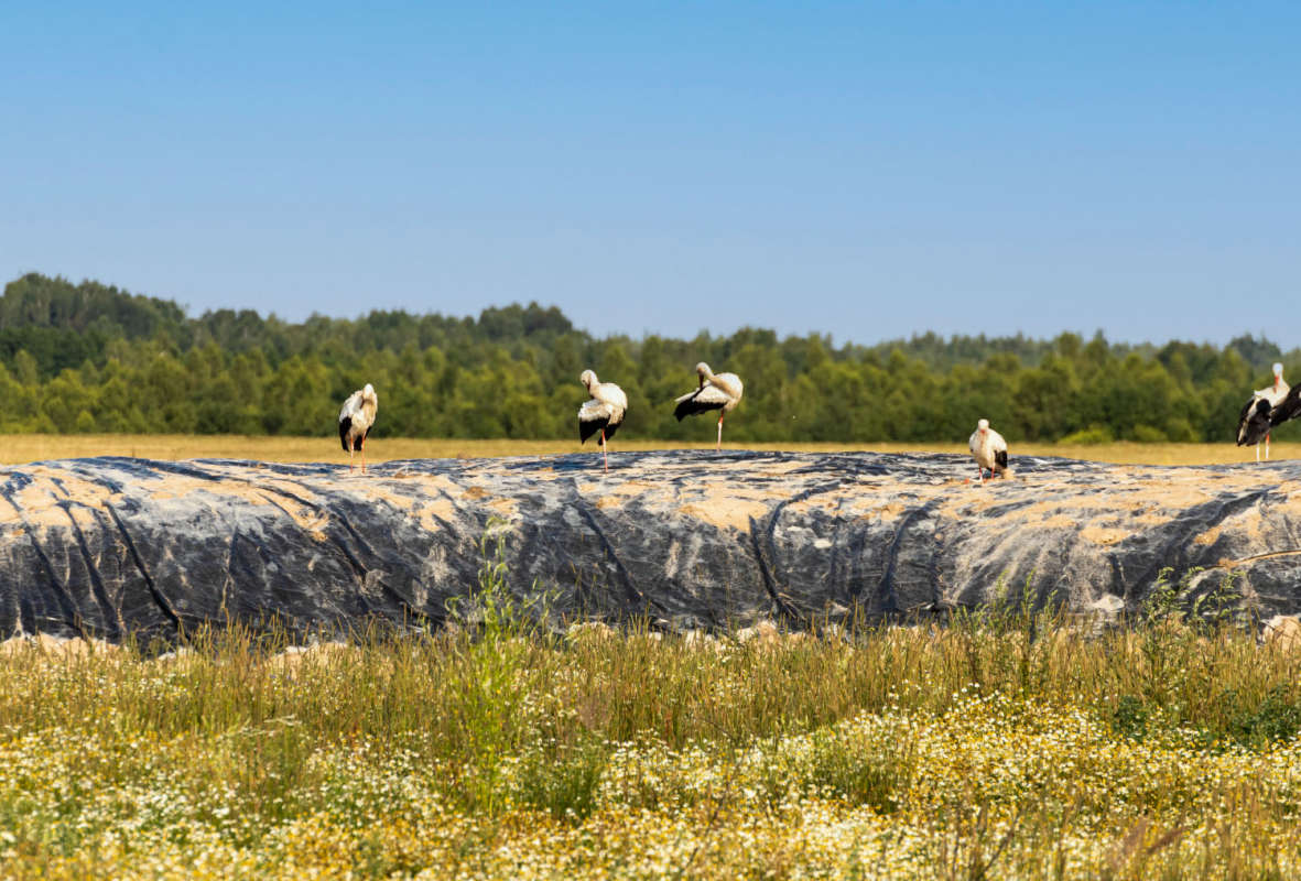 ����� ����� ���������  �� PhotoGeek.ru #�������� ���