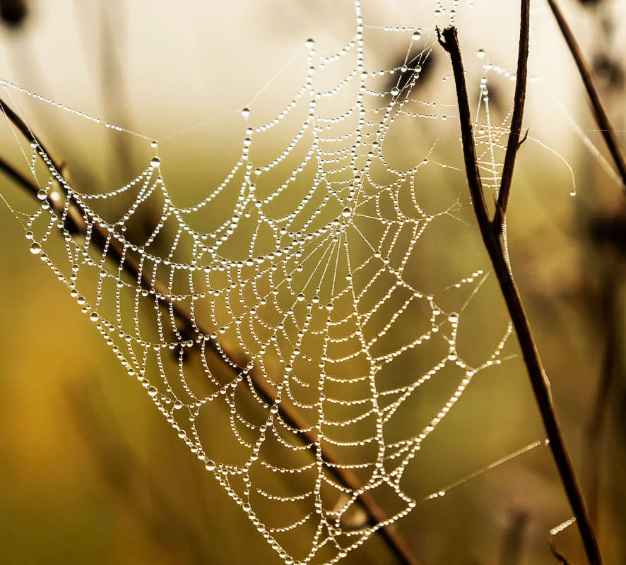 *** ����� ���������  �� PhotoGeek.ru #����� #������ ��� �������