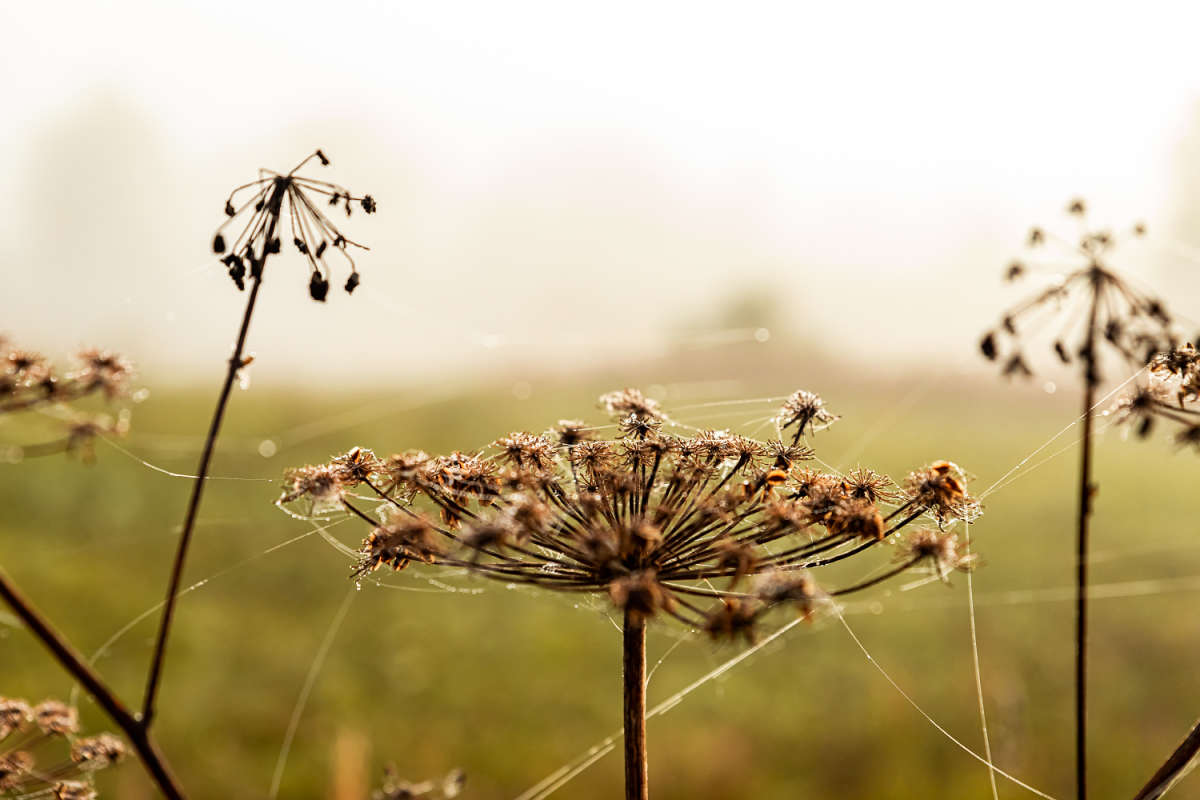 ������ ����� ���������  �� PhotoGeek.ru #����� #������ ��� �������