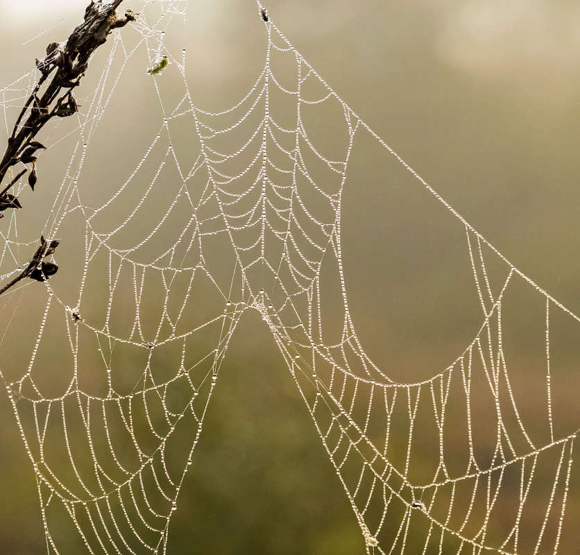��� ����� ������� ����� ���������  �� PhotoGeek.ru #����� #������ ��� �������
