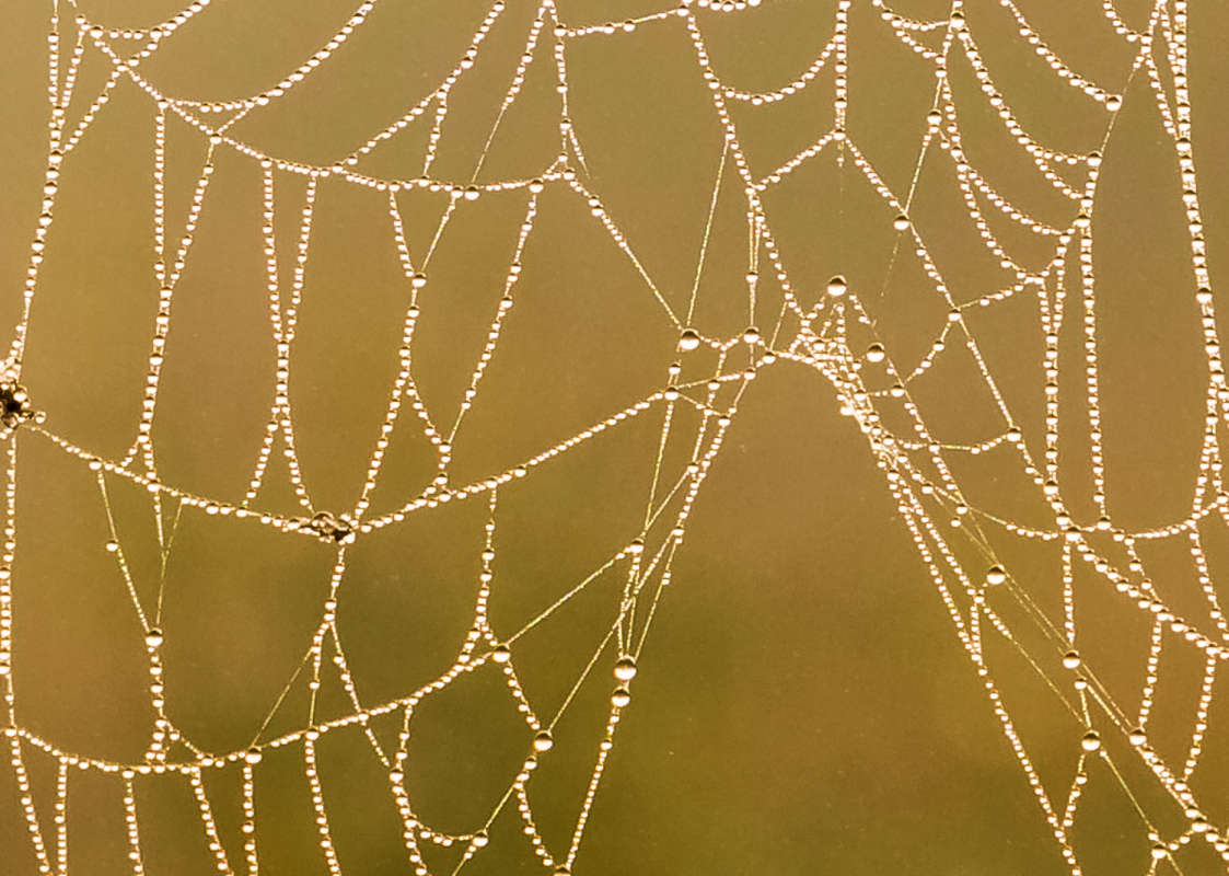 *** ����� ���������  �� PhotoGeek.ru #����� #������ ��� �������
