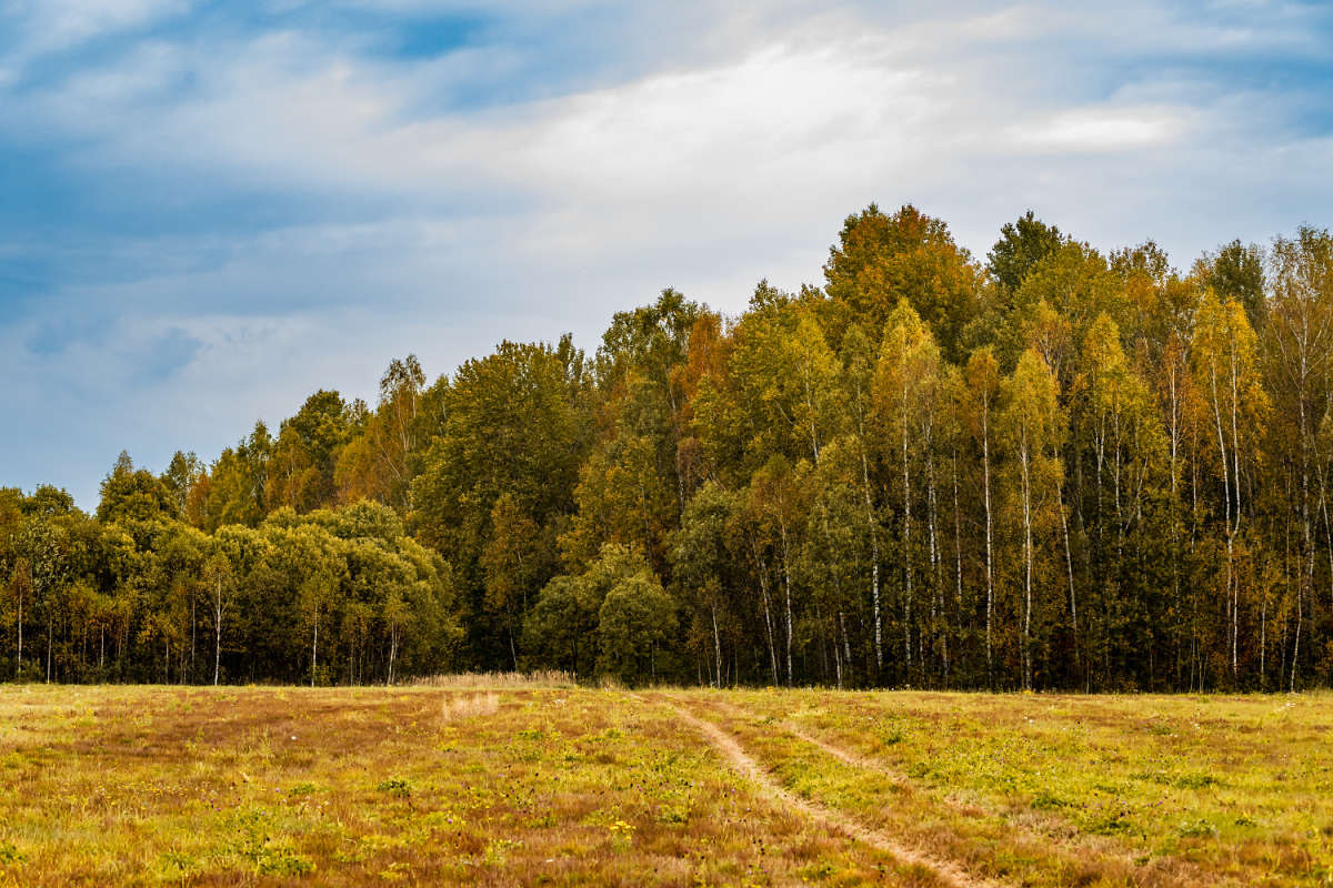 � ��� ����� ���������  �� PhotoGeek.ru #������ ��� �������