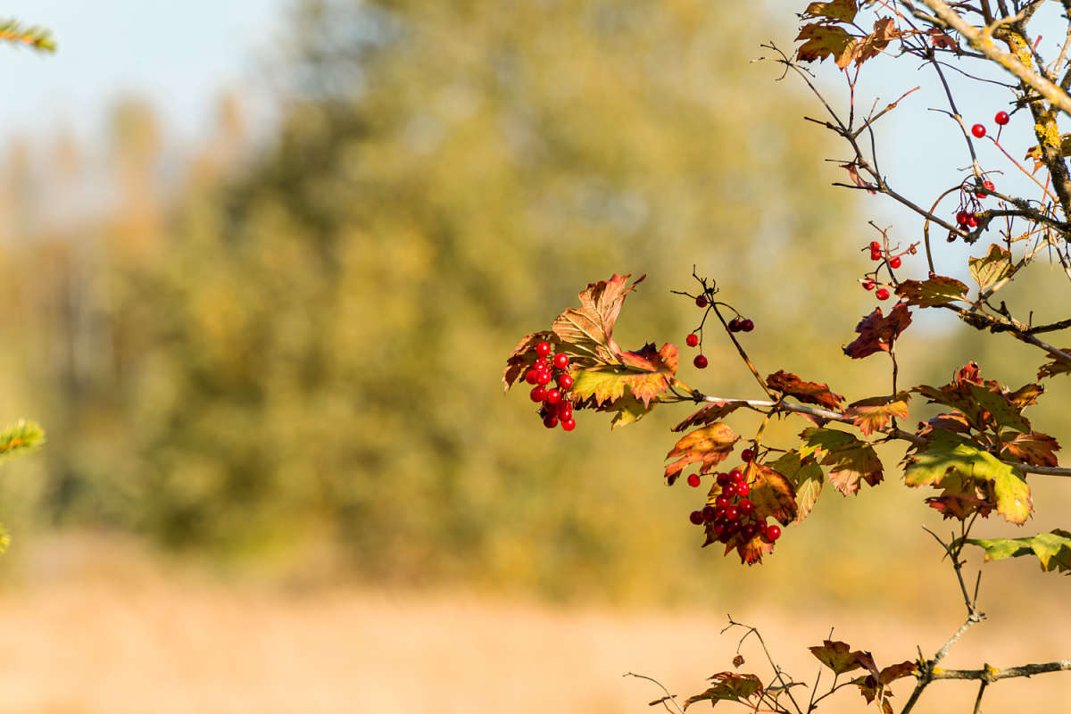 ������ ����� ���������  �� PhotoGeek.ru #������ ��� �������