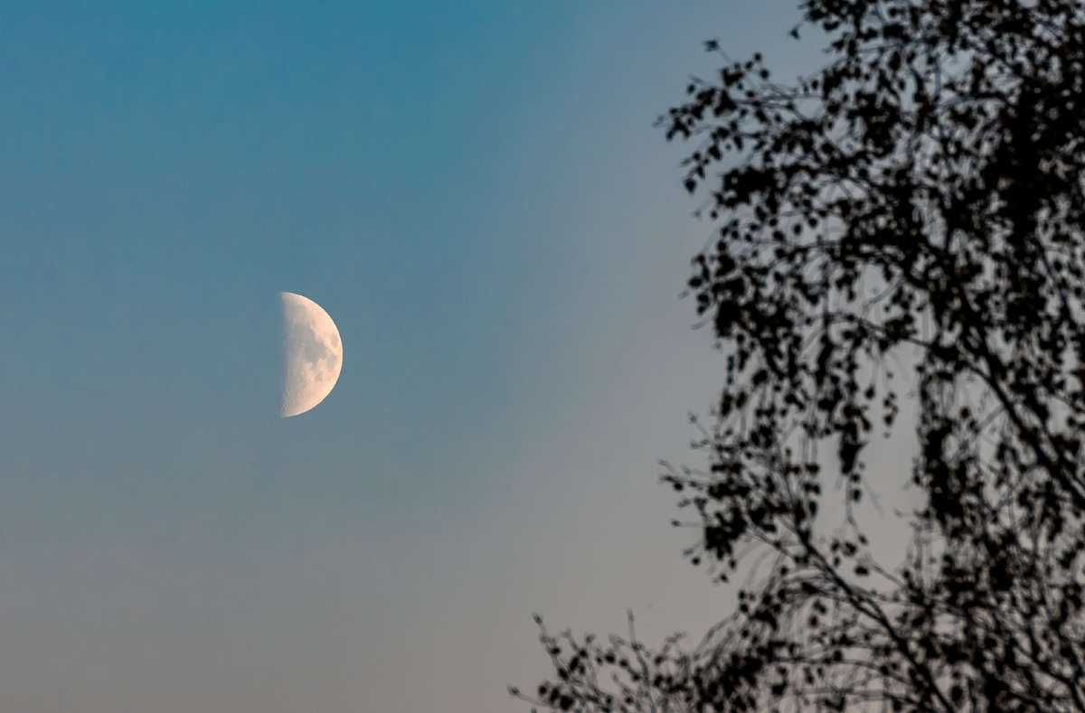 ���� ����� ���������  �� PhotoGeek.ru #������ ��� �������