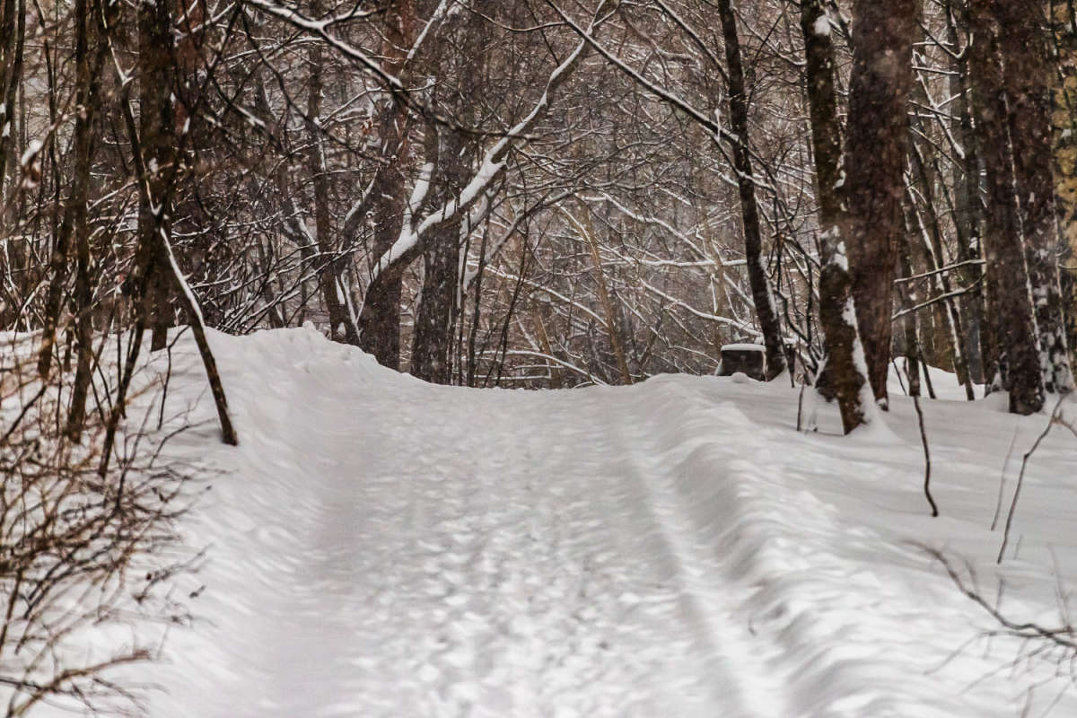 ������ ����� ���������  �� PhotoGeek.ru #������ ��� �������