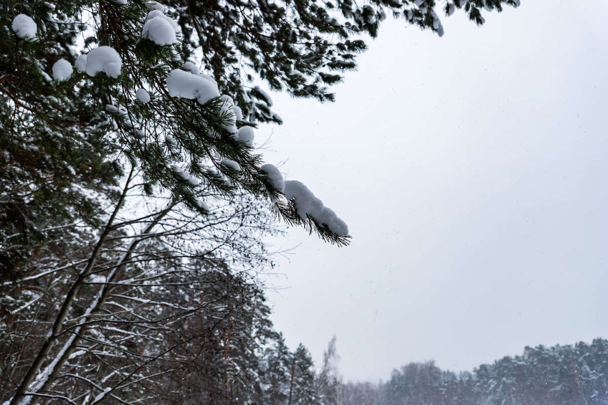 ���� ����� ���������  �� PhotoGeek.ru #������ ��� �������