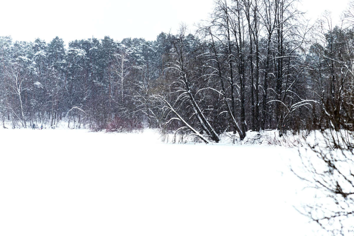 �� ������ ����� ���������  �� PhotoGeek.ru #������ ��� �������