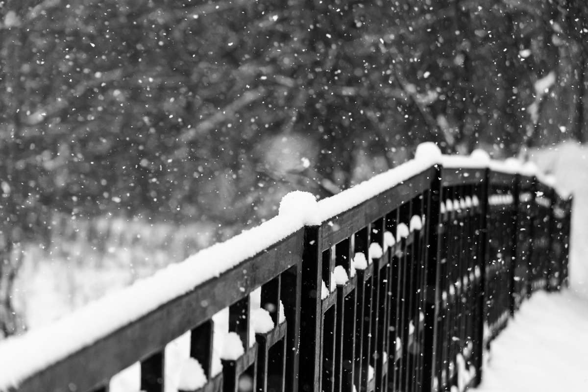 Снегопад / Снегопад / Фотография на PhotoGeek.ru