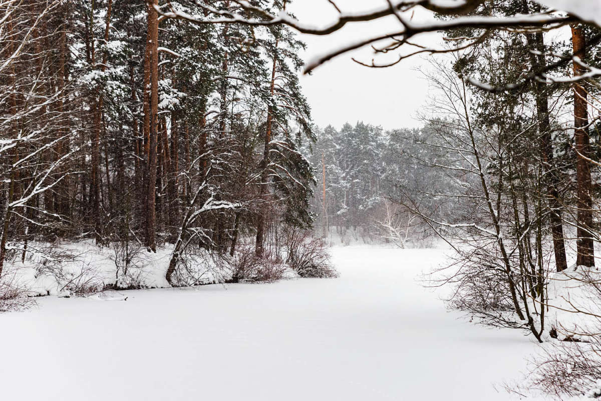 �� ����� ����� ���������  �� PhotoGeek.ru #������ ��� �������