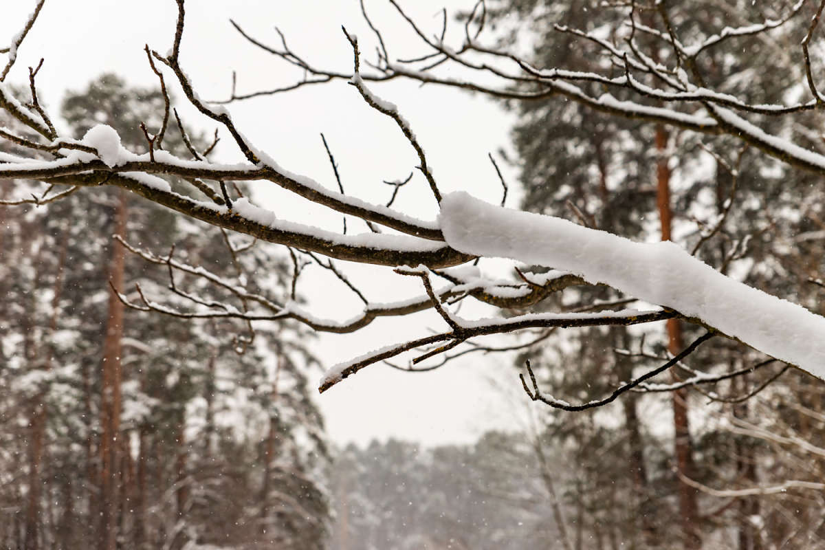 ����� ����� ���������  �� PhotoGeek.ru #������ ��� ������� #�������� ����������
