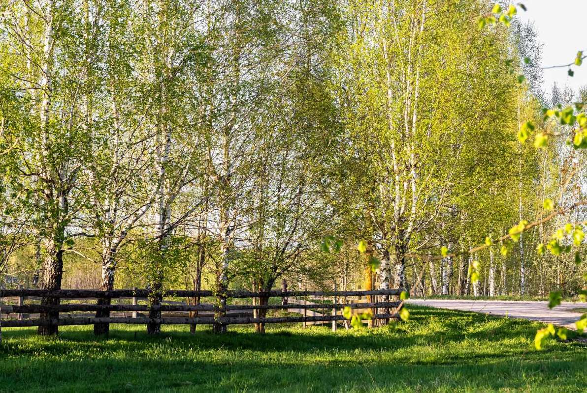 ����� � ������� ����� ���������  �� PhotoGeek.ru #������ ��� �������