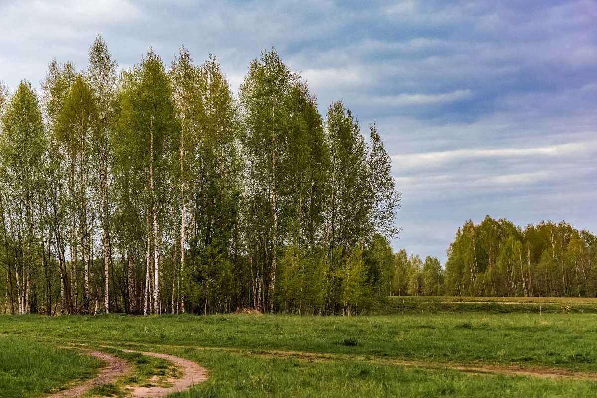 �������� ������ ����� ���������  �� PhotoGeek.ru #������ ��� �������