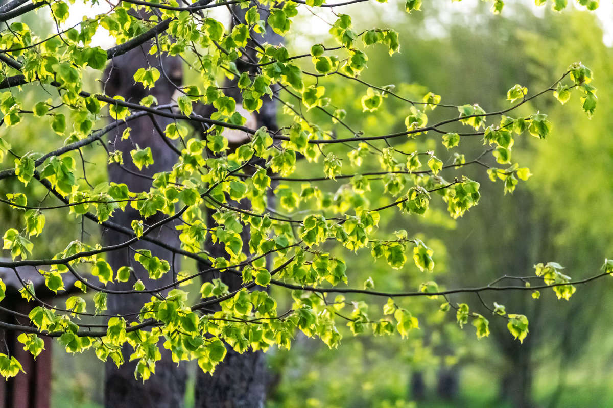 ����� ����� ���������  �� PhotoGeek.ru #������ ��� ������� #����� ��������������