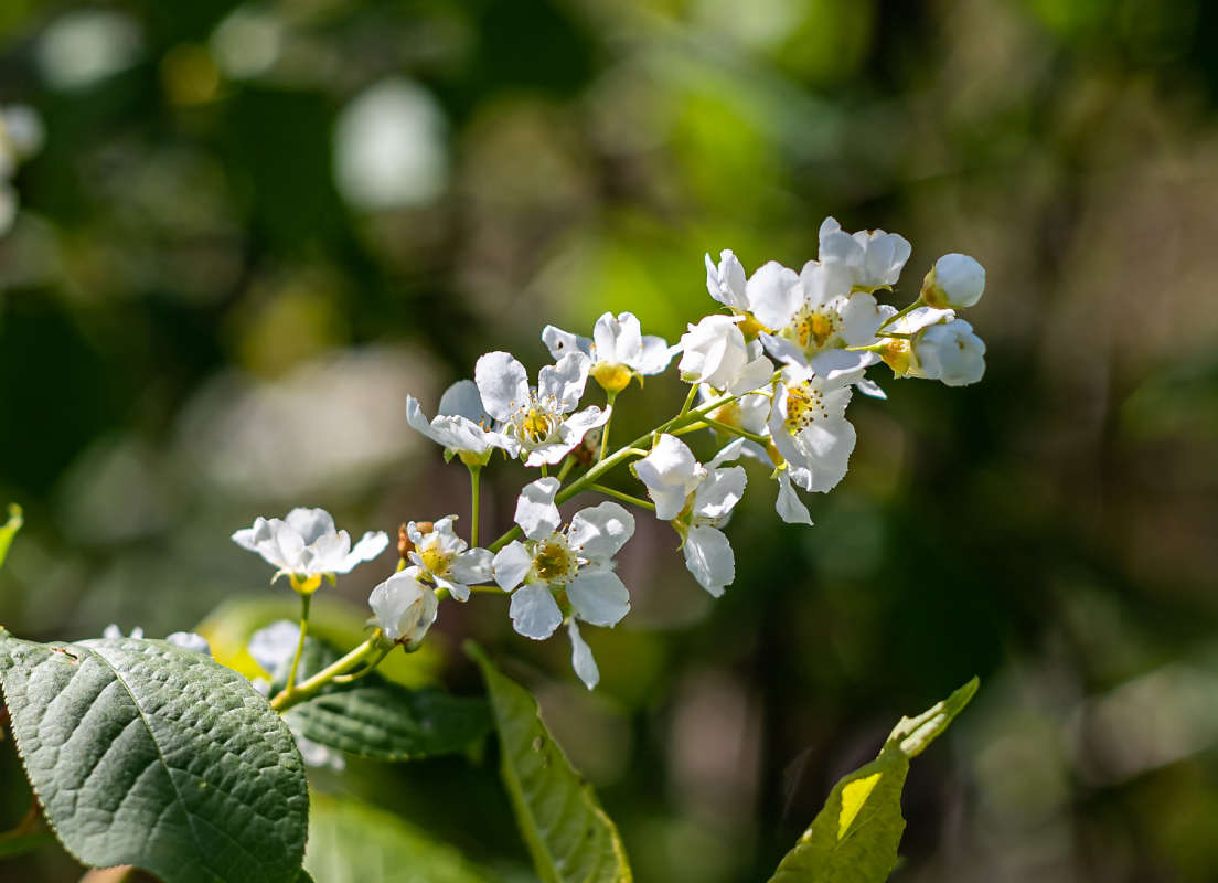 ������� ����� ���������  �� PhotoGeek.ru #������ ��� ������� #����� ��������������