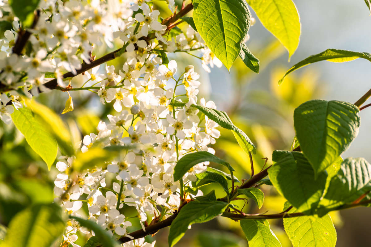 ����� ������� ����� ���������  �� PhotoGeek.ru #������ ��� ������� #����� ��������������