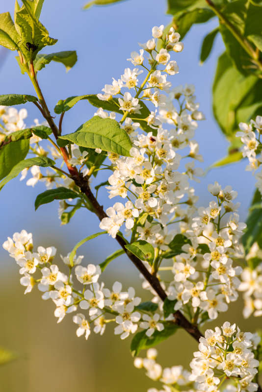 ��������� ���� ����� ���������  �� PhotoGeek.ru #������ ��� ������� #����� ��������������