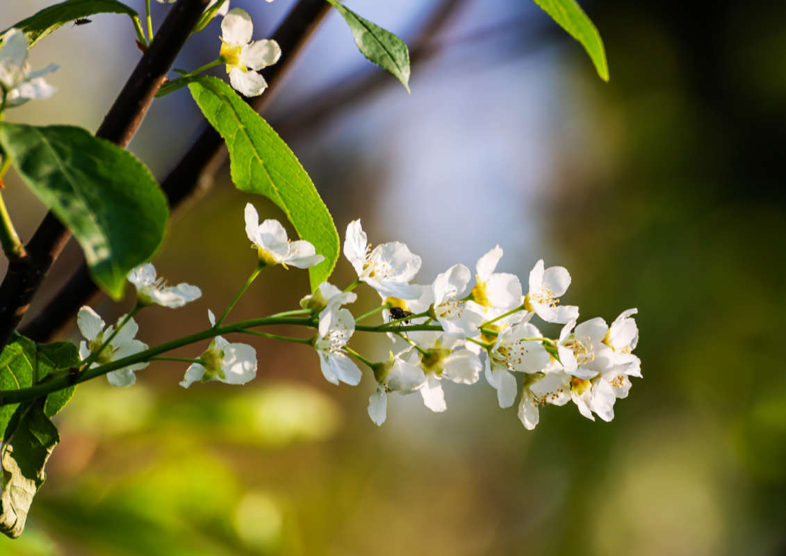 � �����! ����� ���������  �� PhotoGeek.ru #������ ��� ������� #����� ��������������