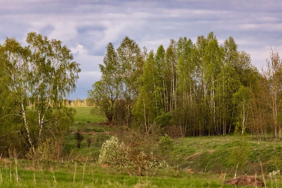 ����� ����� ���������  �� PhotoGeek.ru #������ ��� ������� #����� ��������������