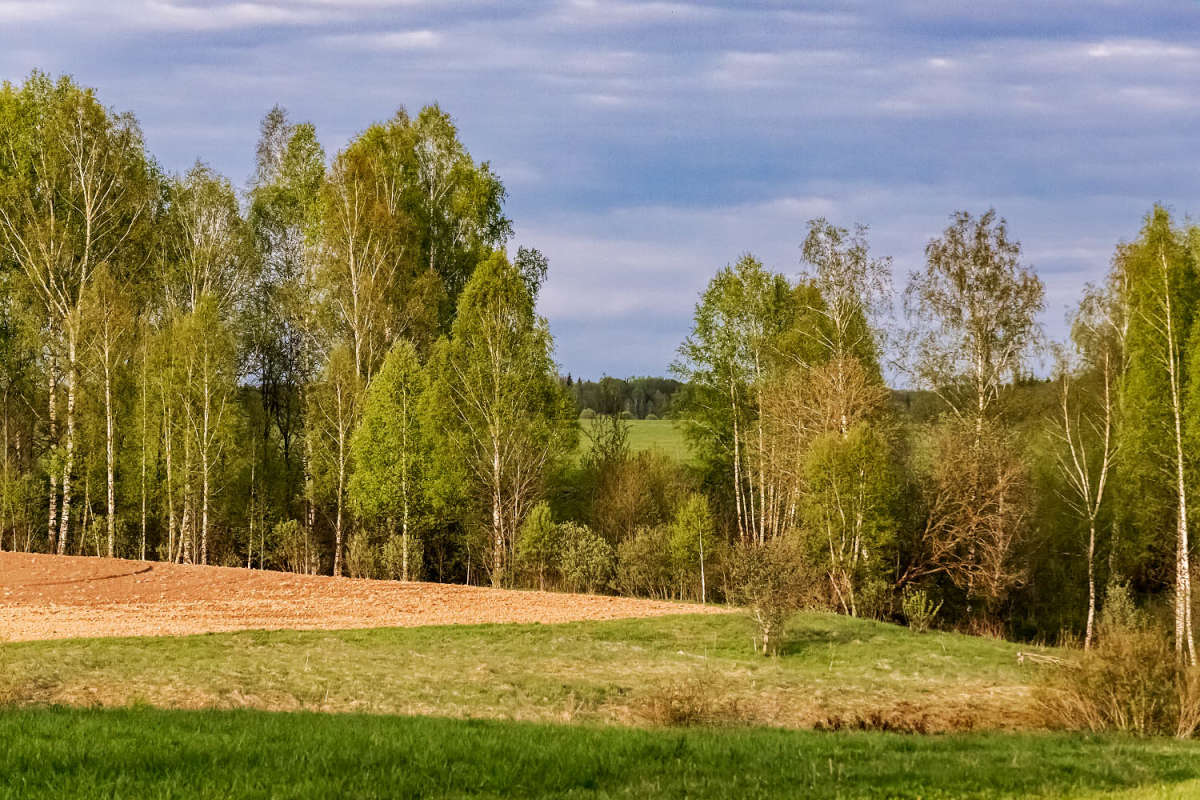 ����� ����� ���������  �� PhotoGeek.ru #������ ��� ������� #����� ��������������