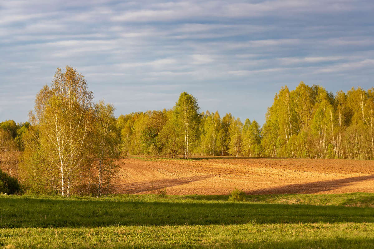 ����� ����� ���������  �� PhotoGeek.ru #������ ��� ������� #����� ��������������