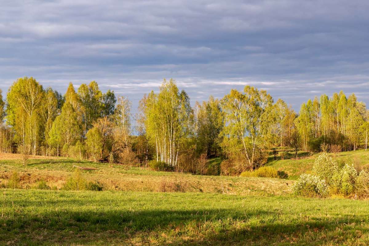 ������� ������ ����� ���������  �� PhotoGeek.ru #������ ��� �������