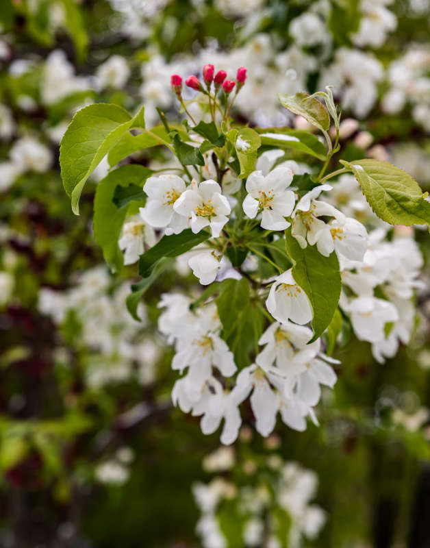 � ����� ����� ���������  �� PhotoGeek.ru #������ ��� ������� #����� ��������������