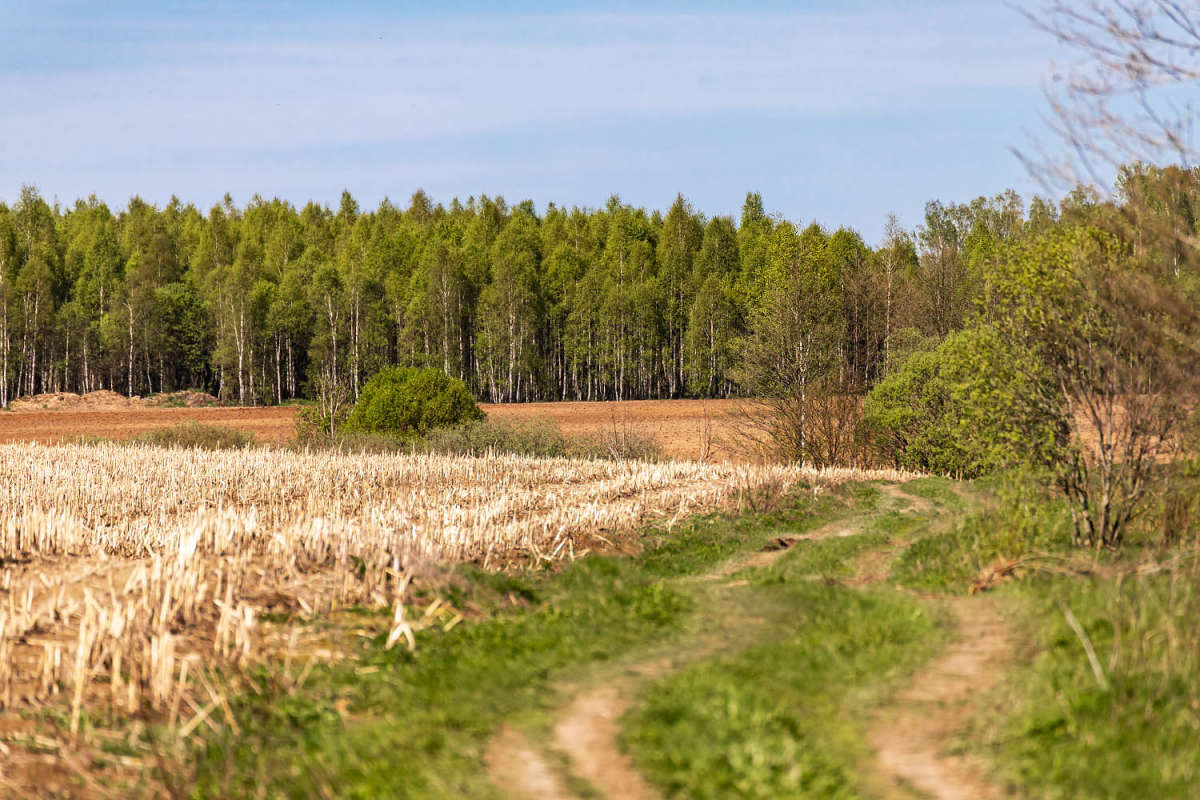 �� ���� ���� ����� ���������  �� PhotoGeek.ru #������ ��� �������