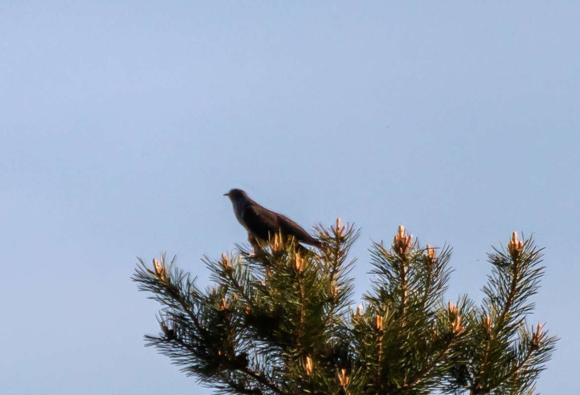 ������� ����� ���������  �� PhotoGeek.ru #�������� ��� #������ ��� �������