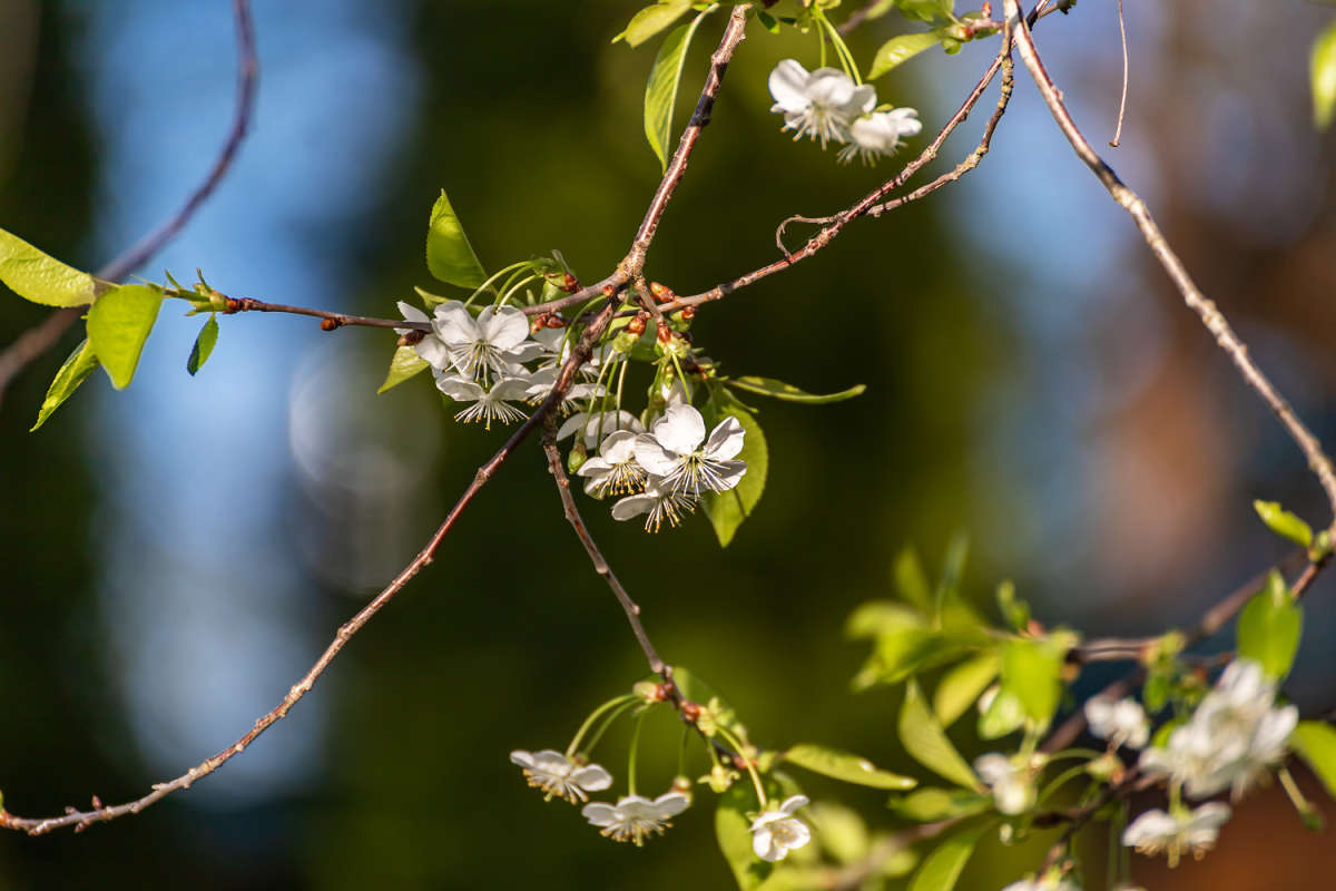 ����� ����� ���������  �� PhotoGeek.ru #������ ��� �������