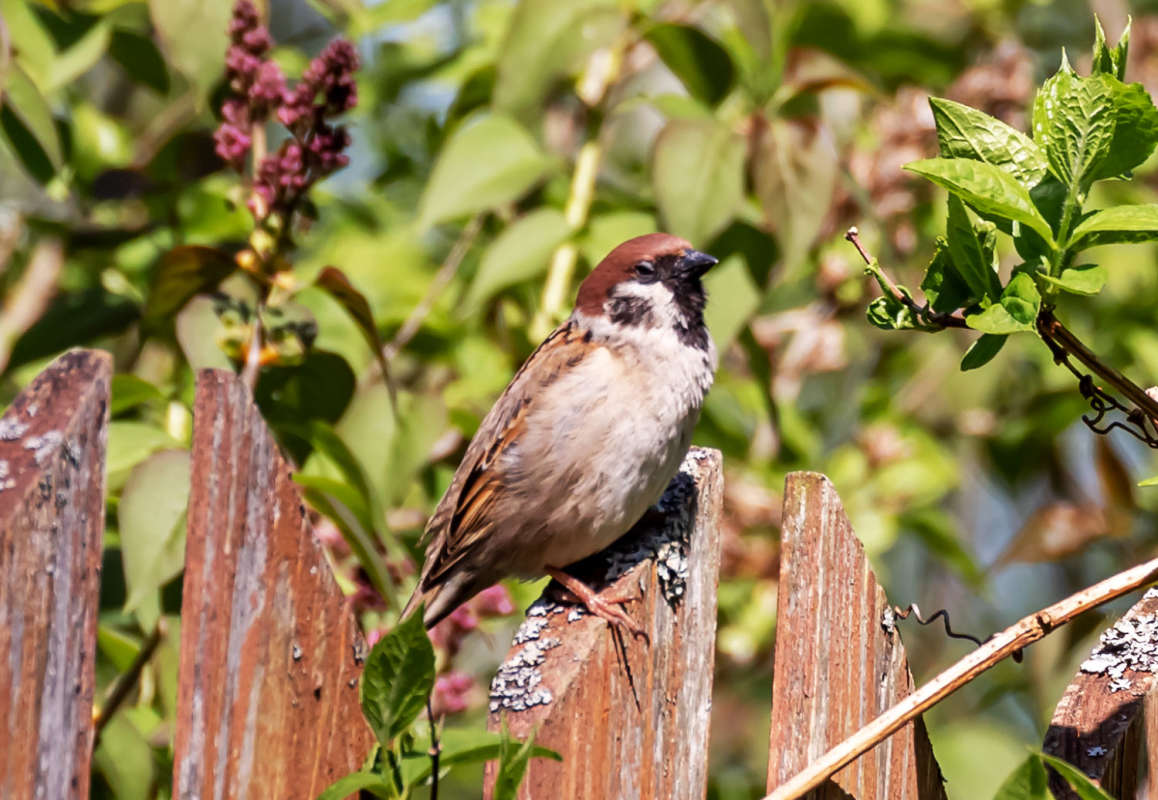 ������� ����� ���������  �� PhotoGeek.ru #�������� ���