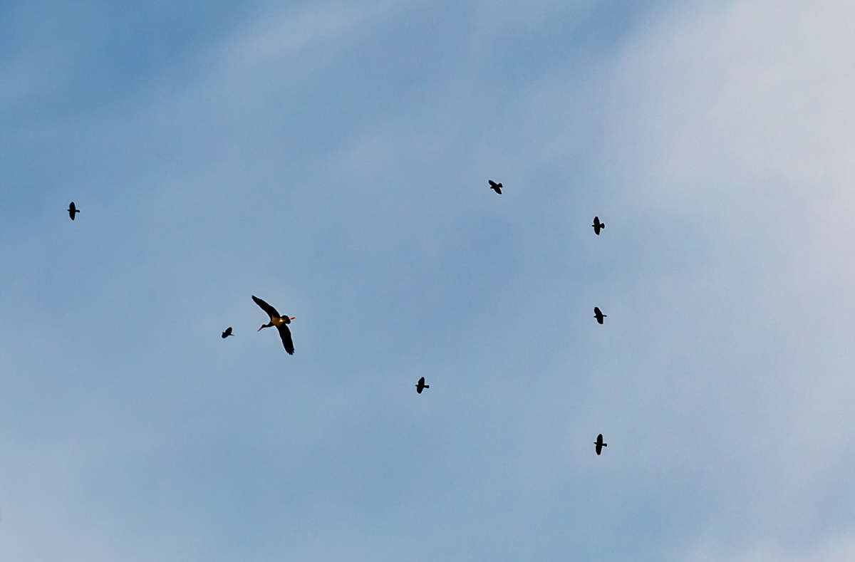 �������� ����� ���������  �� PhotoGeek.ru #�������� ���