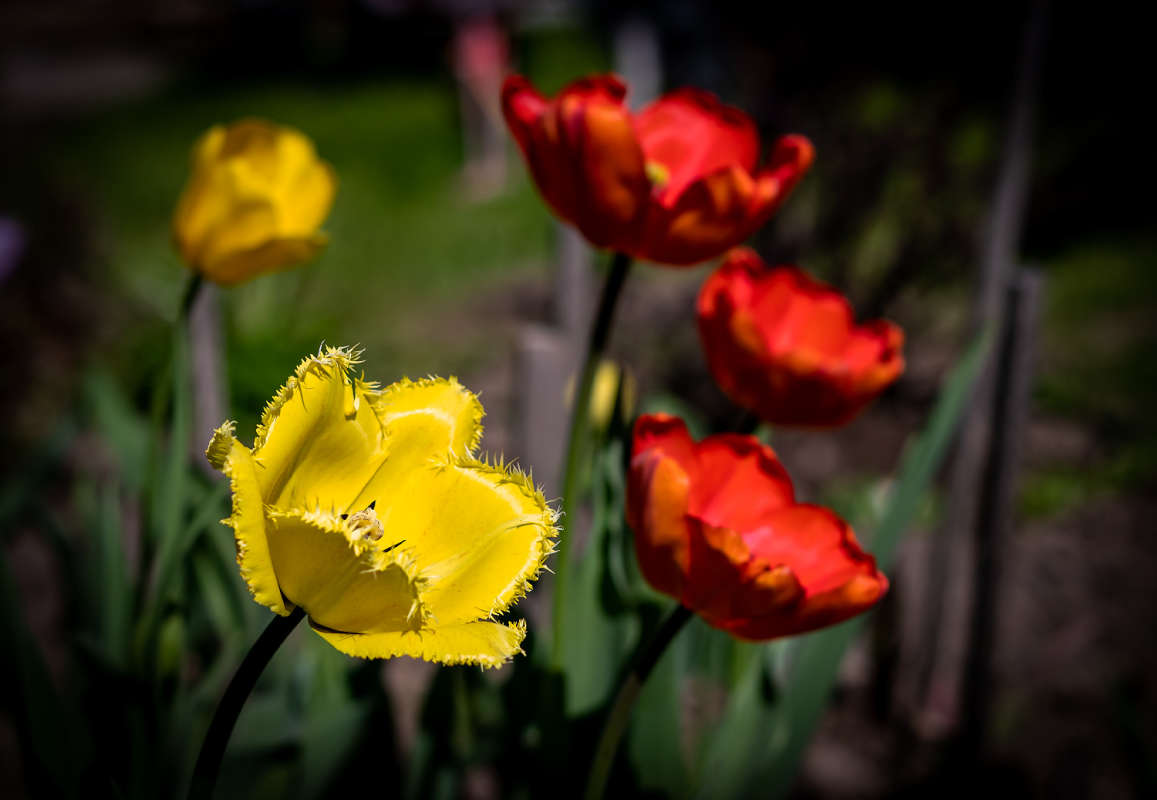 ������� ����� ���������  �� PhotoGeek.ru #������ ��� �������
